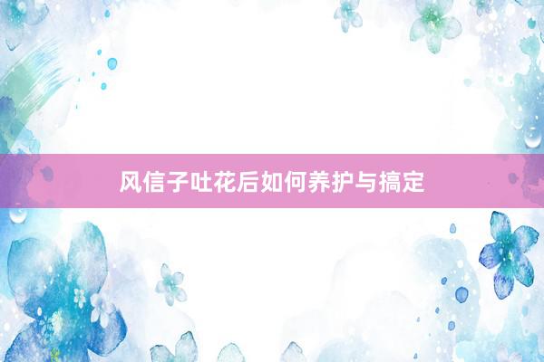 风信子吐花后如何养护与搞定
